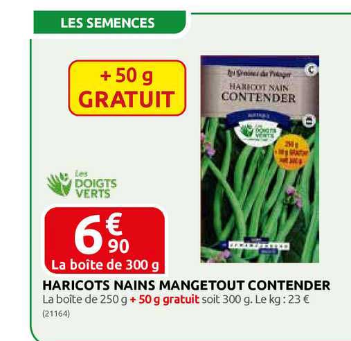 haricots nains mangetout contender