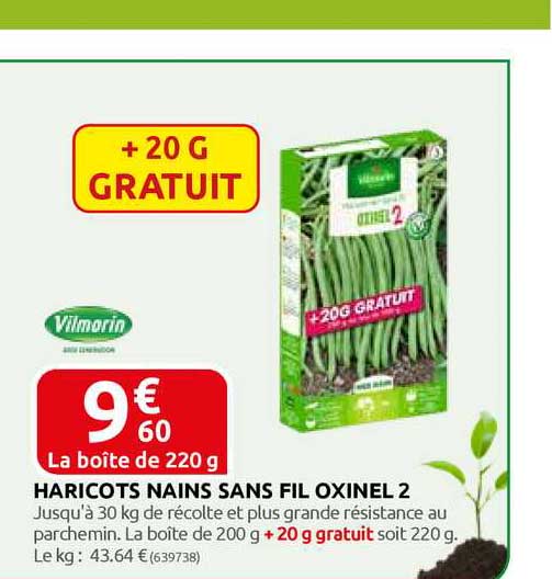 haricots nains sans fil oxinel 2