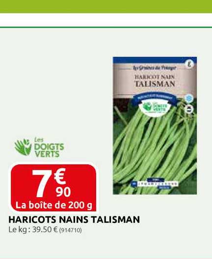 haricots nains talisman