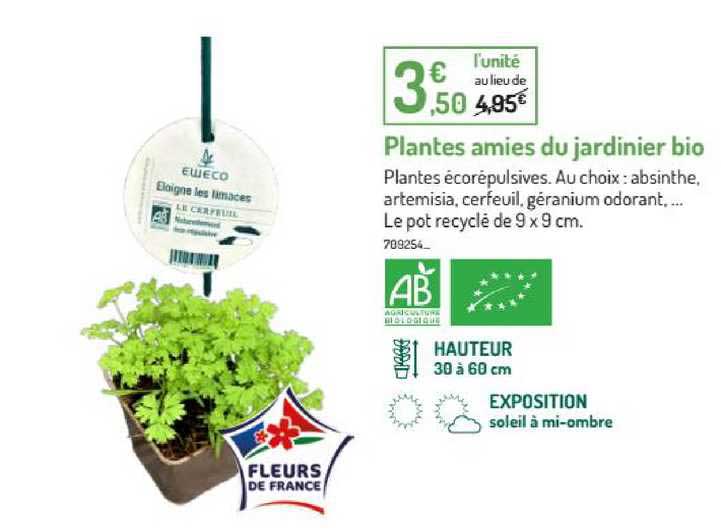plantes amies du jardinier bio