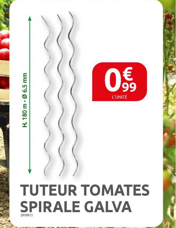 tuteur tomates spirale galva