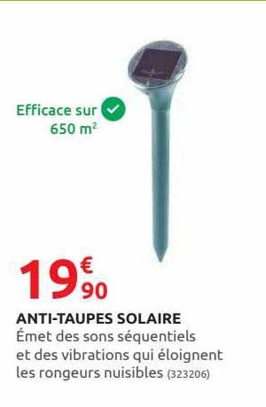 anti-taupes solaire