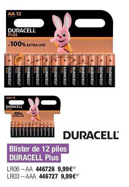 Blister De 12 Piles Duracell Plus