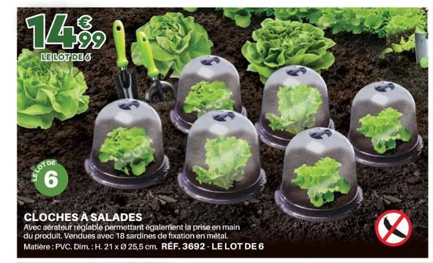 cloches à salades