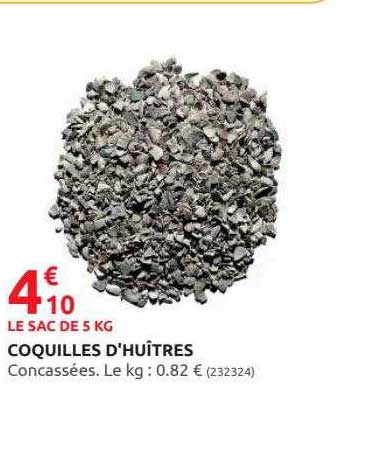 coquilles d'huîtres