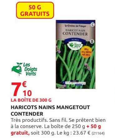 haricots nains mangetout contender les doigts verts