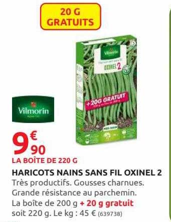 haricots nains sans fil oxinel 2 vilmorin