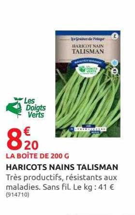 haricots nains talisman