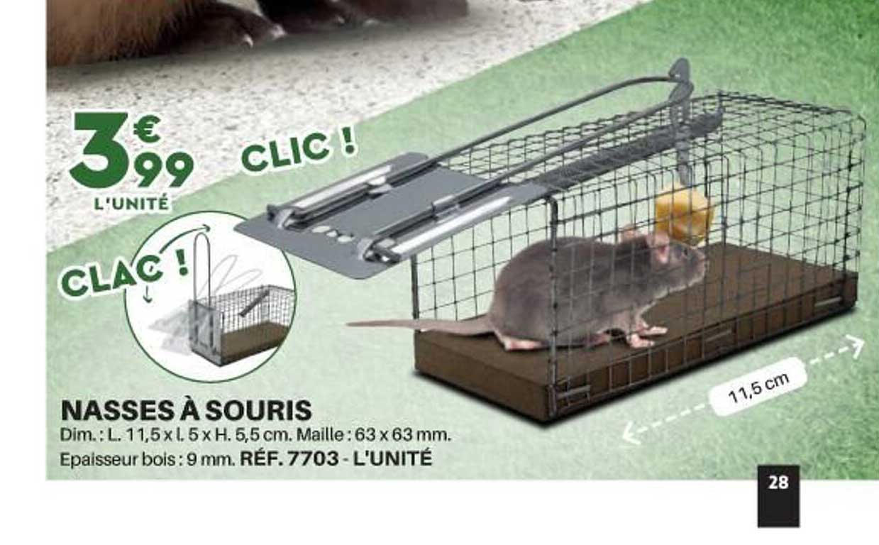 nasses à souris
