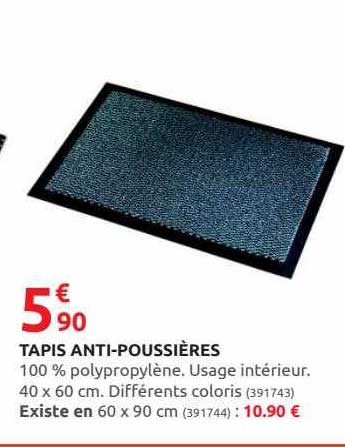 tapis anti-poussières