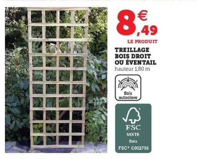 treillage bois droit ou éventail