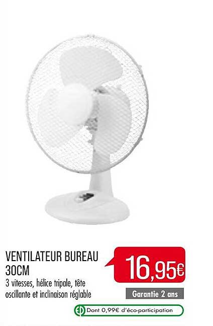 Ventilateur Bureau 30 Cm