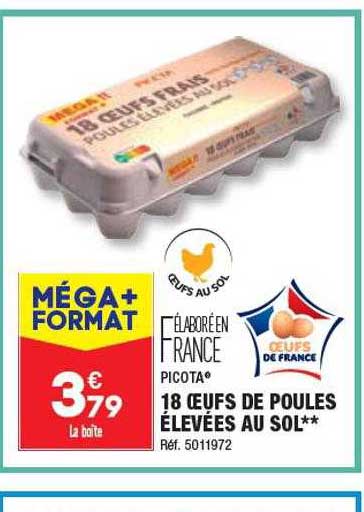 18 œufs de poules élevées au sol