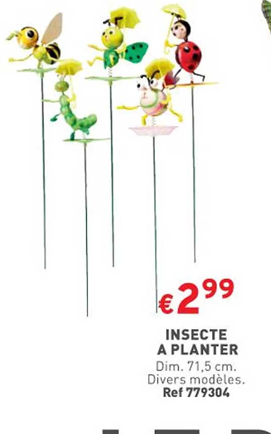 insecte à planter