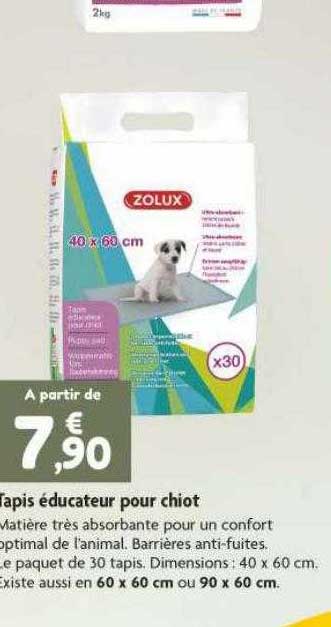 tapis éducateur pour chiot