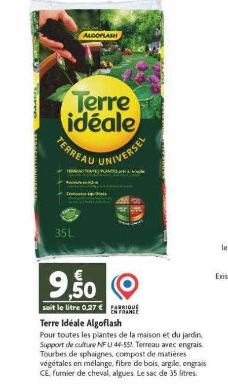 terre idéale algoflash
