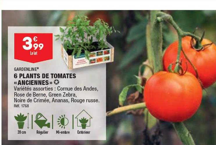 6 plants de tomates «anciennes» gardenline