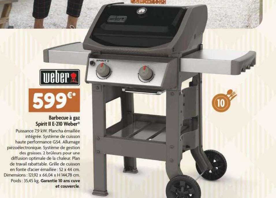 barbecue à gaz spirit II e-210 weber
