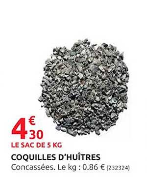 coquilles d'huîtres