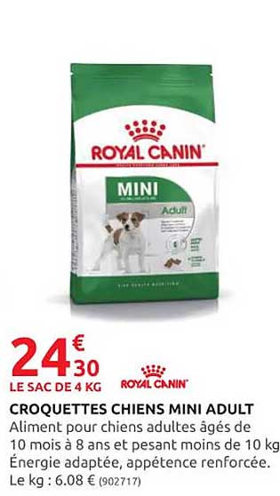 croquettes chiens mini adult royal canin