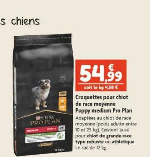 croquettes pour chiot de race moyenne puppy medium pro plan
