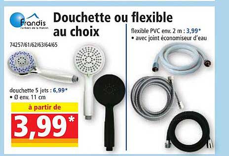 Douchette Ou Flexible Au Choix Frandis