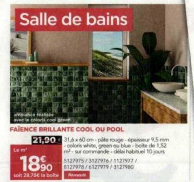 faïence brillante cool ou pool