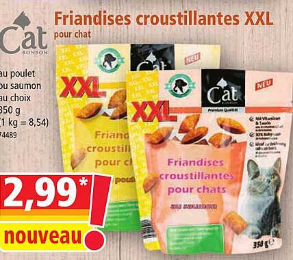 Friandises Croustillantes Xxl Pour Chat Cat