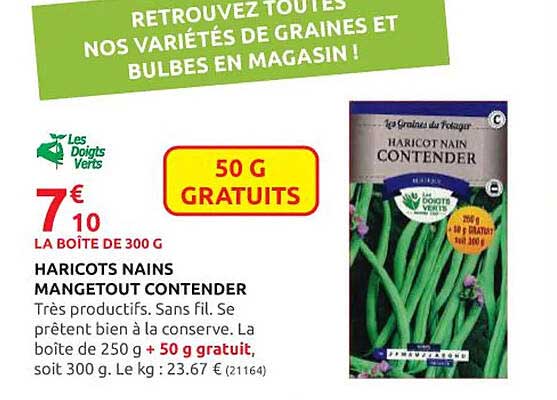 haricots nains mangetout contender