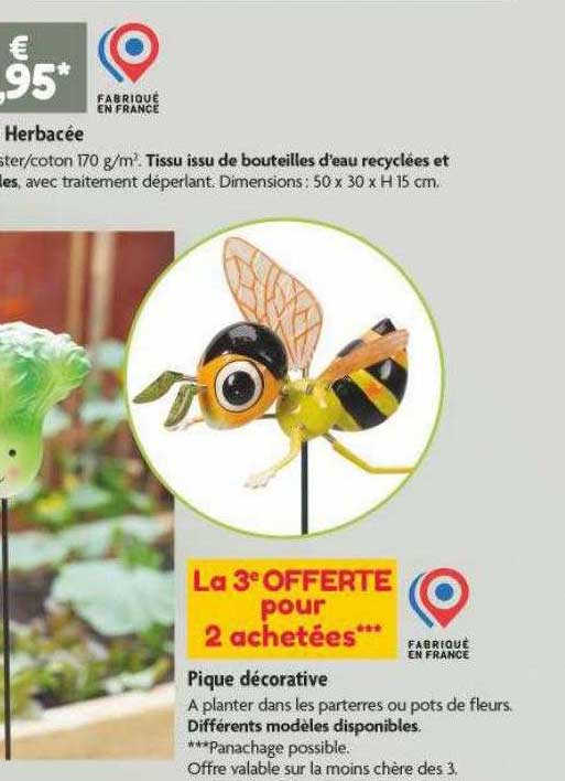 herbacée, pique décorative