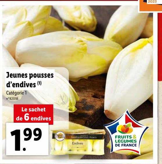 jeunes pousses d'endives