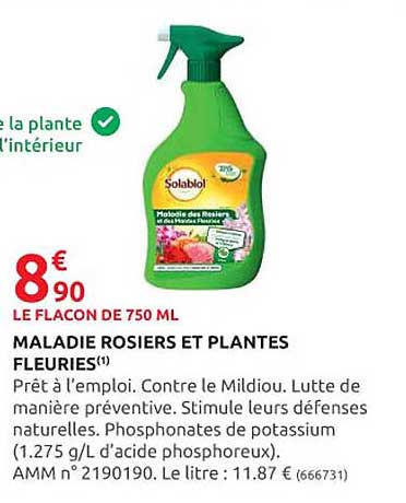 maladie rosiers et plantes fleuries