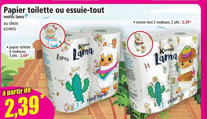 papier toilette ou essuie-tout
