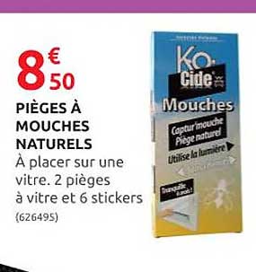 pièges à mouches naturels