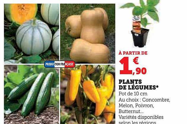 plants de légumes