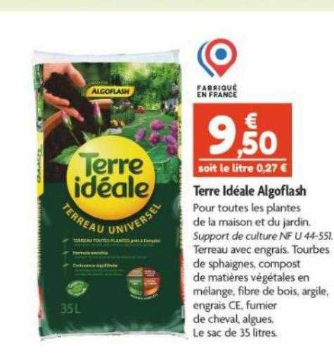 terre idéale algoflash