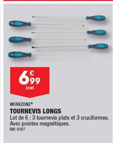 tournevis longs workzone