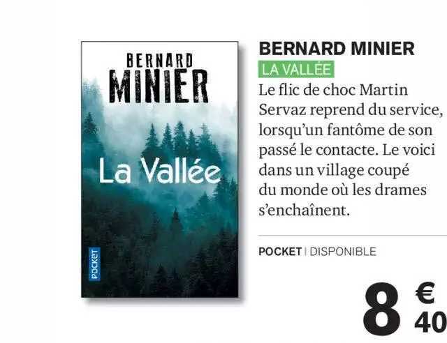 bernard minier la vallée