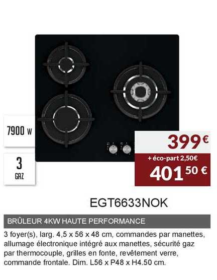 brûleur 4kw haute performance egt6633nok