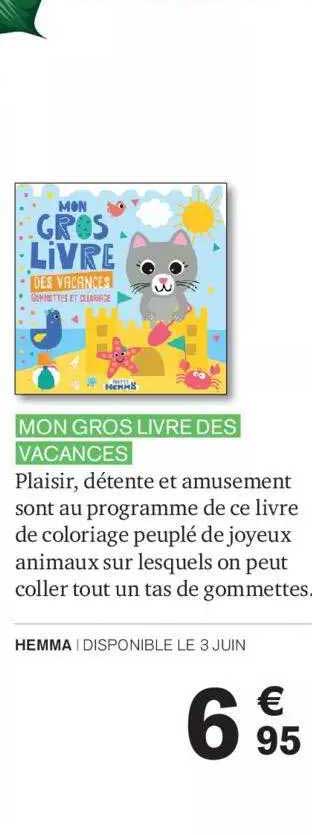 mon gros livre des vacances