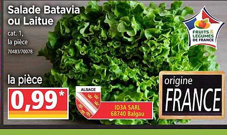 Salade Batavia Ou Laitue