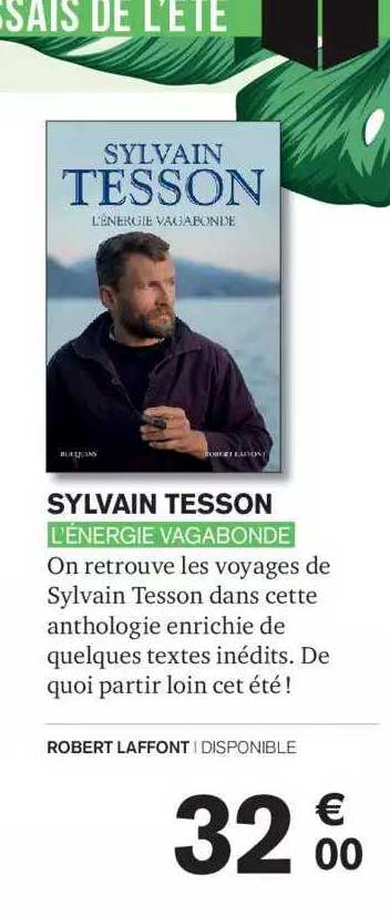 sylvain tesson - l'énergie vagabonde