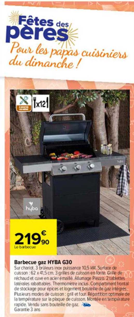 barbecue gaz hyba g30