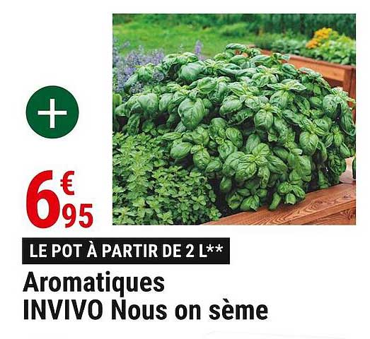 aromatiques invivo nous on sème