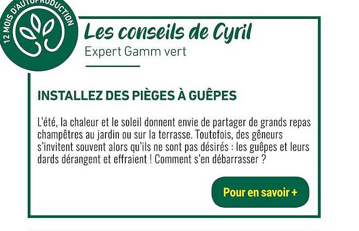 les conseils de cyril