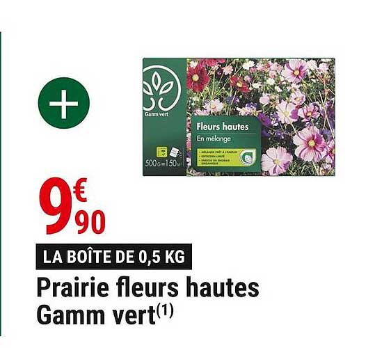 prairie fleurs hautes gamm vert