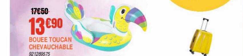 bouée toucan chevauchable