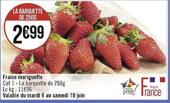 fraise gariguette