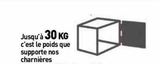 le poids que supporte nos charnières