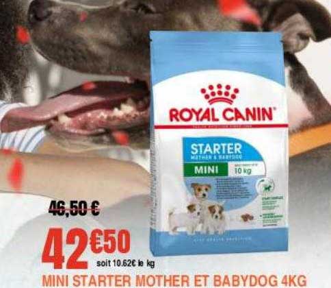 mini starter mother et babydog 4kg royal canin